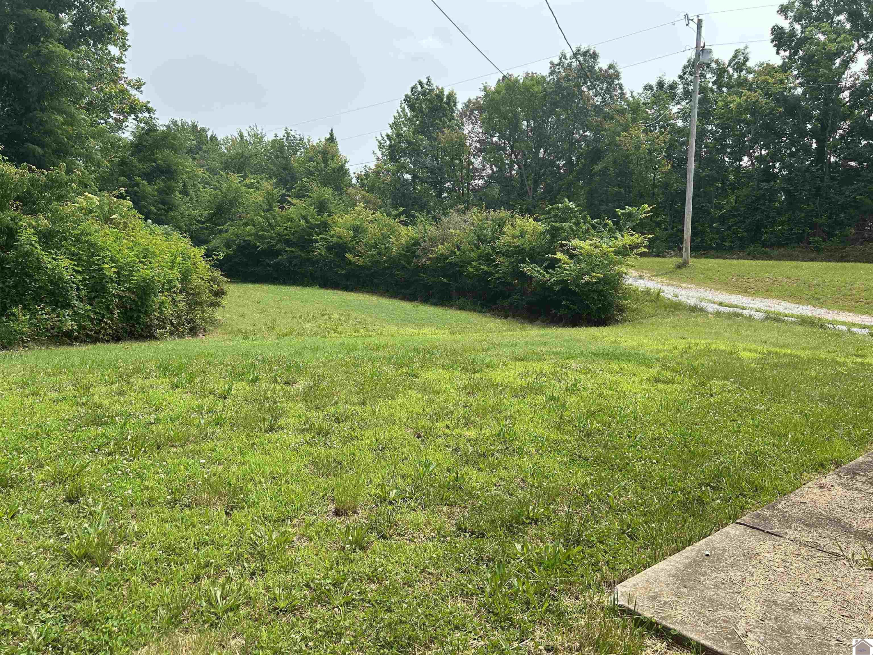 142 Frankfort Road Benton, KY 42025 - Photo 7 of 27 RIGHT YARD