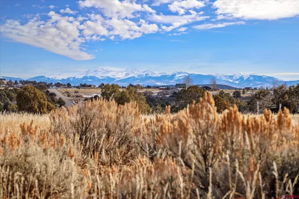 a view of a lake with a mountain in the background