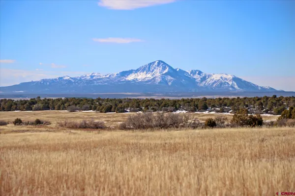 a view of a big yard with mountains in the background