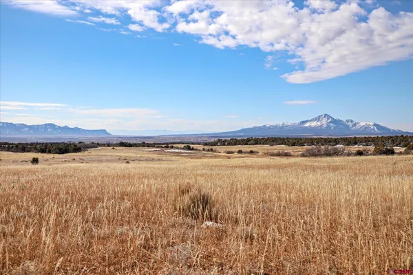 a view of an ocean and beach
