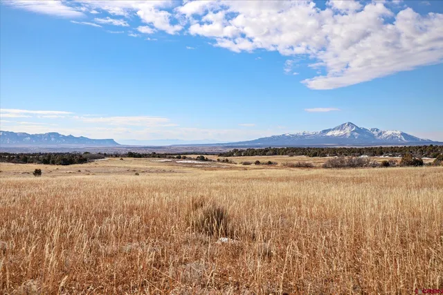 $205,000 | 25 Road 25, Dolores, CO 81323