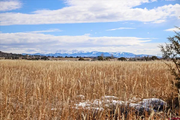 a view of a lake with houses in the back