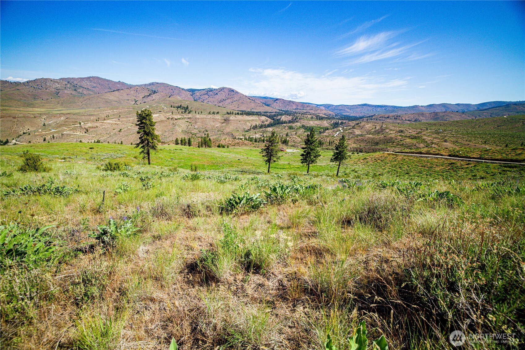 0 Sawtooth View Road Pateros, WA 98846 - Photo 3 of 10 a view of a lush green field with mountains in the background