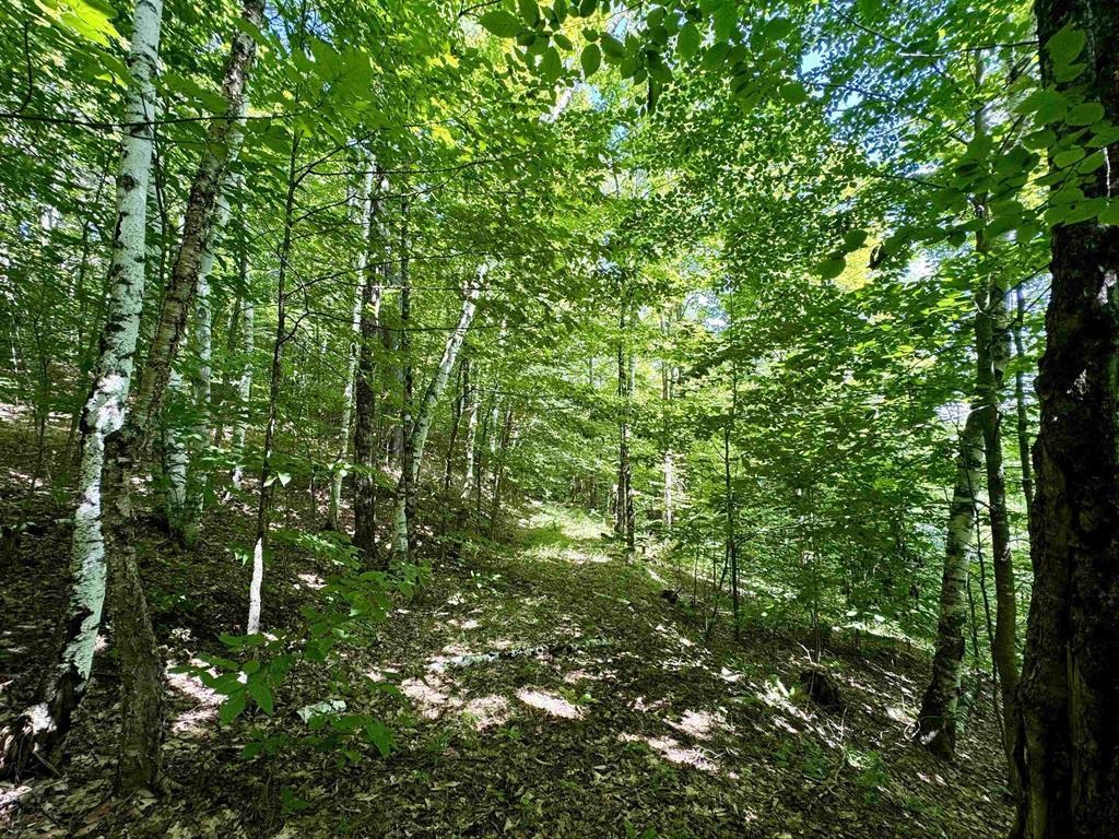 0 Crosby Road Topsham, VT 05076 - Photo 2 of 11