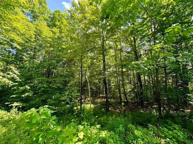 $119,000 | 0 Crosby Road, Topsham, VT 05076