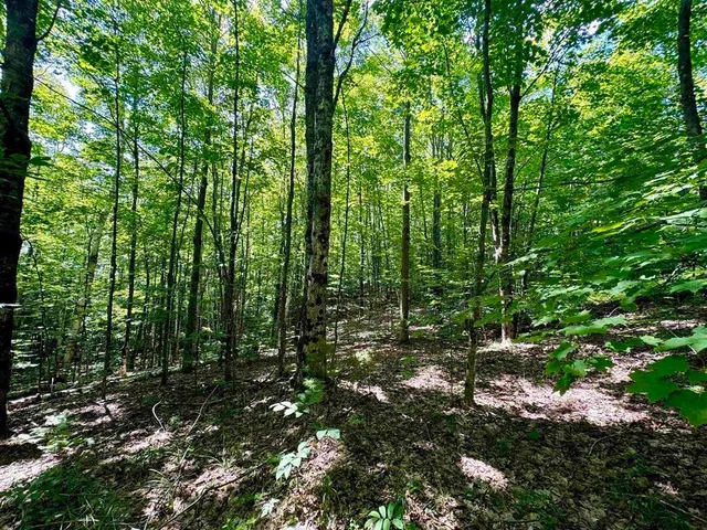 $119,000 | 0 Crosby Road, Topsham, VT 05076