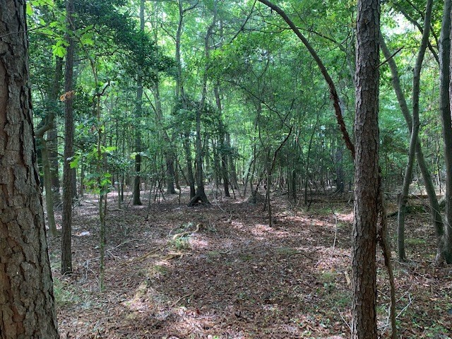 D Cheriton Cross Road, Unit D Cape Charles, VA 23310 - Photo 27 of 37