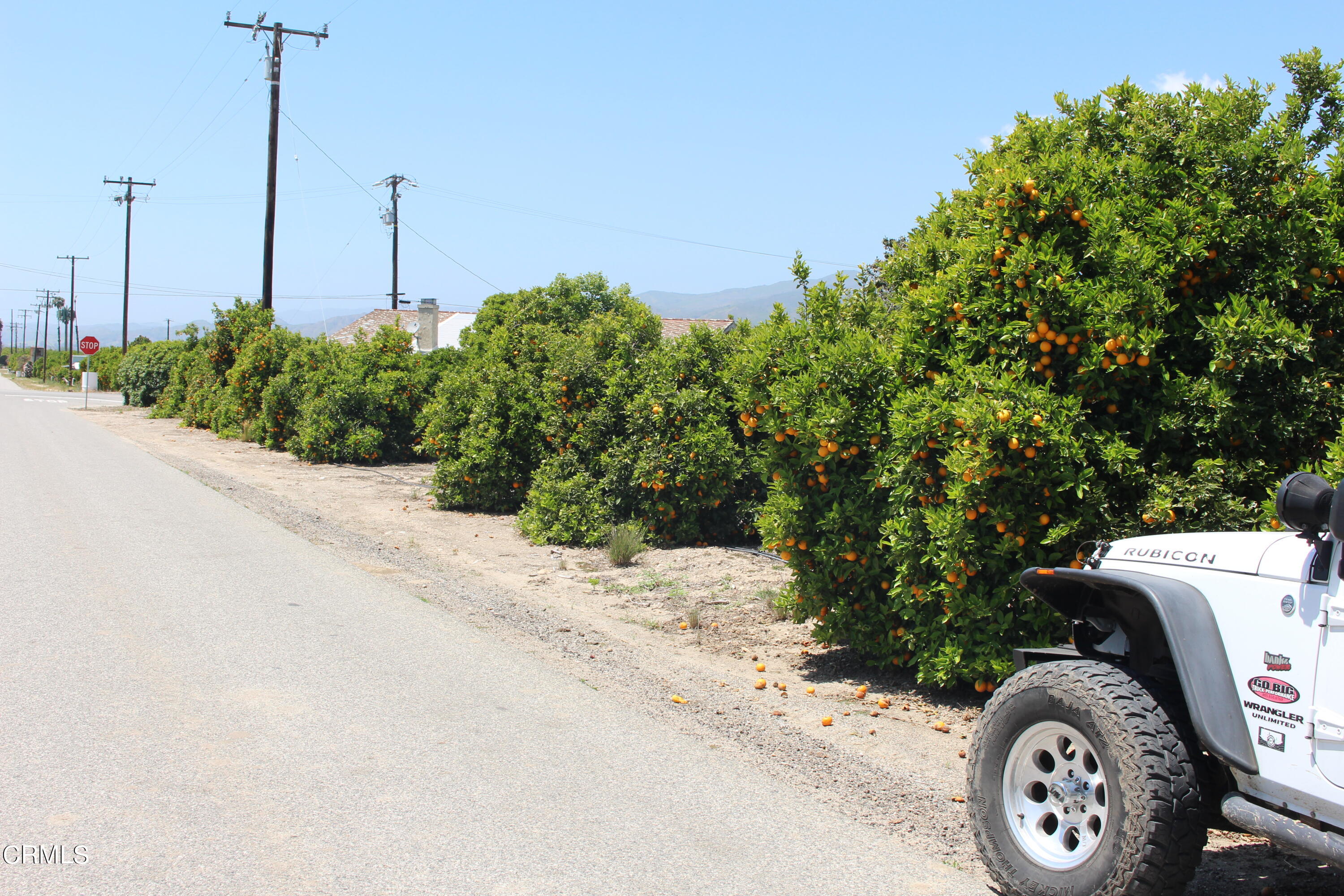 1396 South Sespe Street Fillmore, CA 93015 - Photo 10 of 20 a car parked on the side of the road