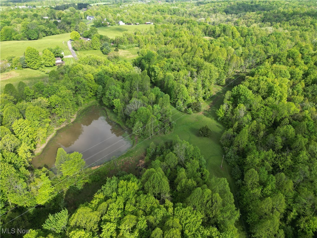 0 Layman Road Vincent, OH 45784 - Photo 9 of 28 Bird's eye view of a forest