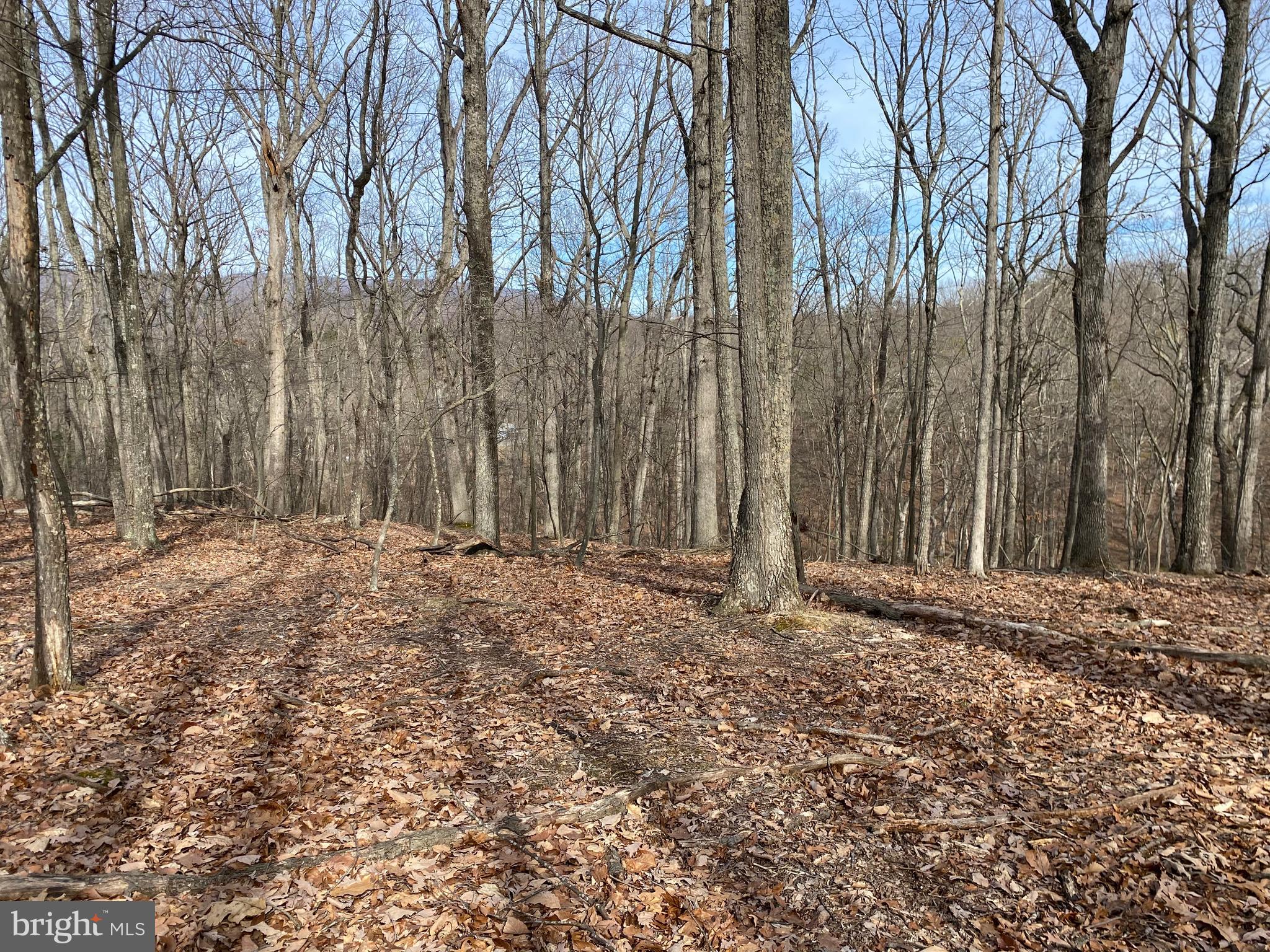Lot 18 Timber Ridge Cross Junction, VA 22625 - Photo 1 of 5 Gallery Image 1