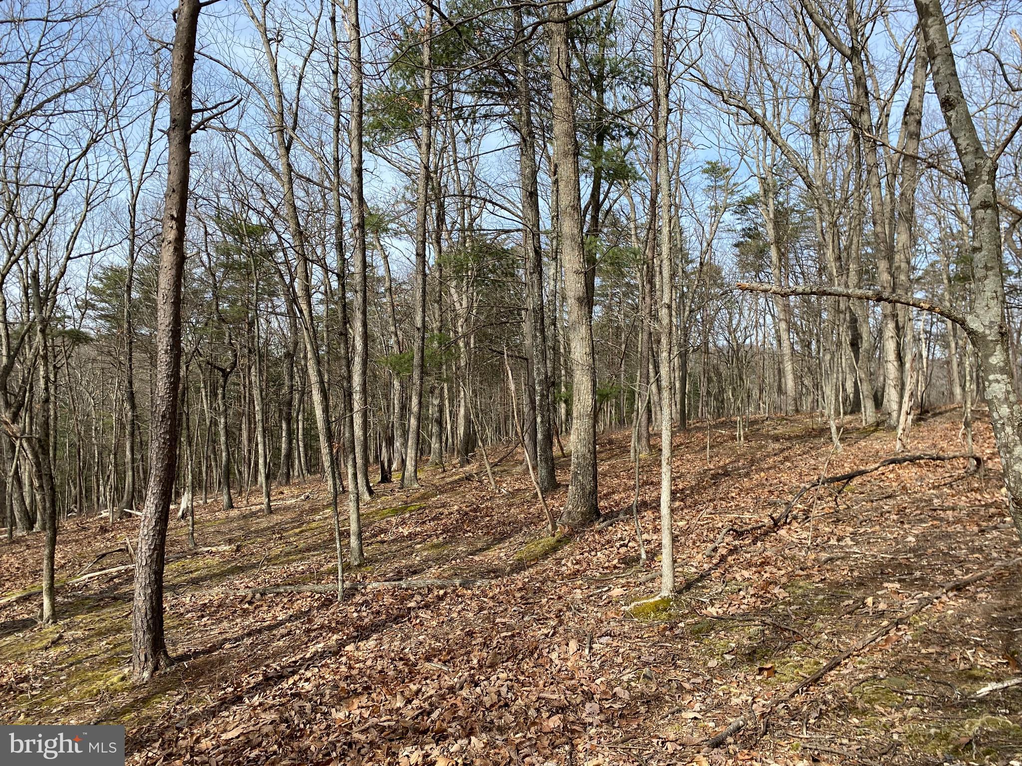 Lot 18 Timber Ridge Cross Junction, VA 22625 - Photo 4 of 5 Gallery Image 4