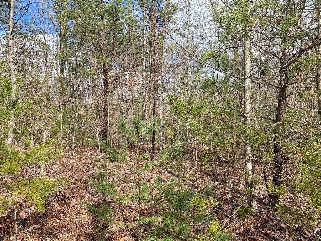 Lot 17 Appalachian Estates Road Murphy, NC 28906 - Photo 5 of 17