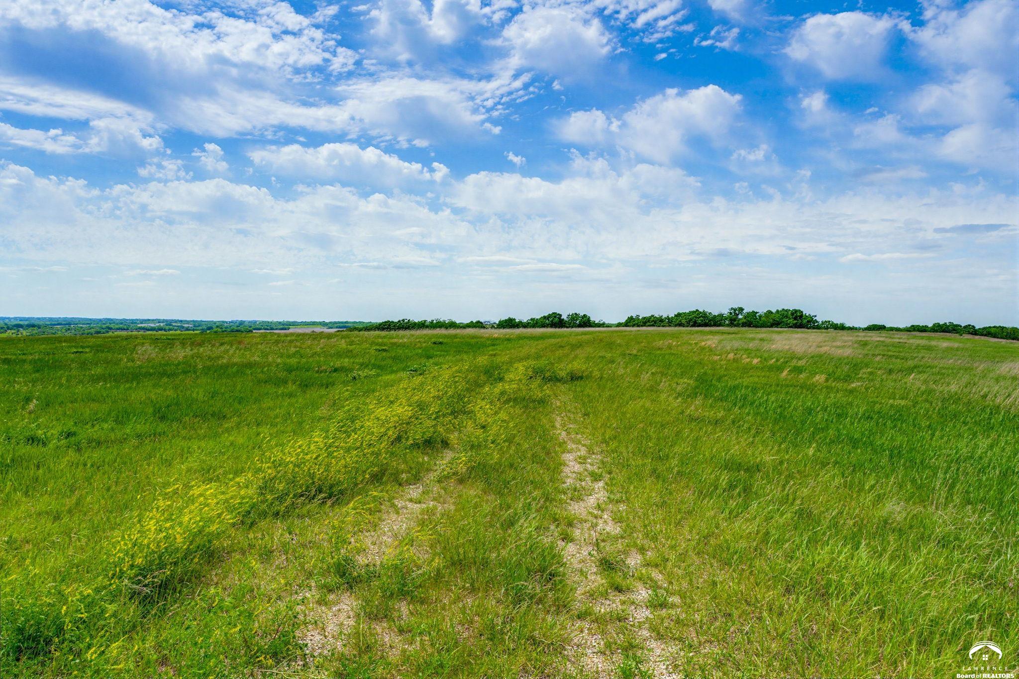 240 Acres M/l North 750th Road Overbrook, KS 66524 - Photo 5 of 29