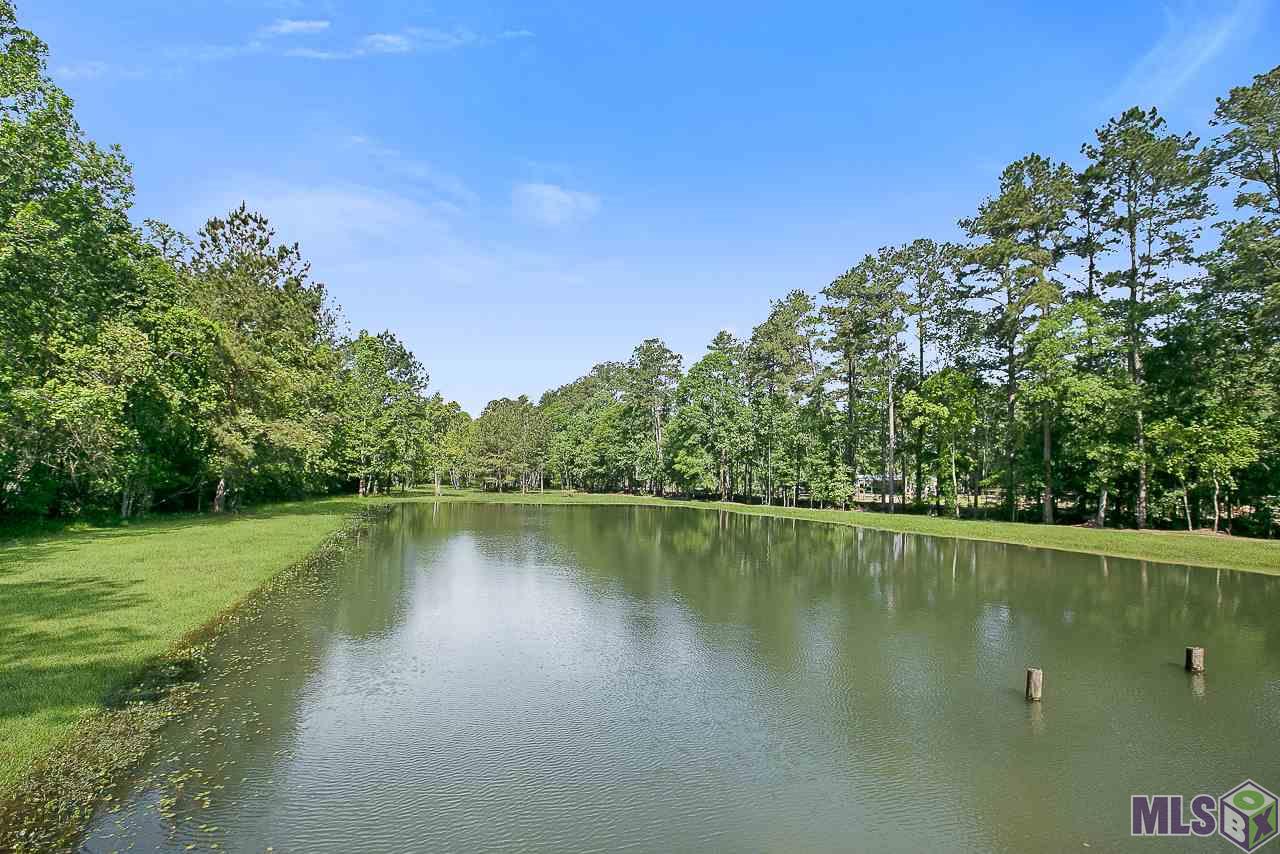 33429 Perkins Road Denham Springs, LA 70706 - Photo 17 of 22