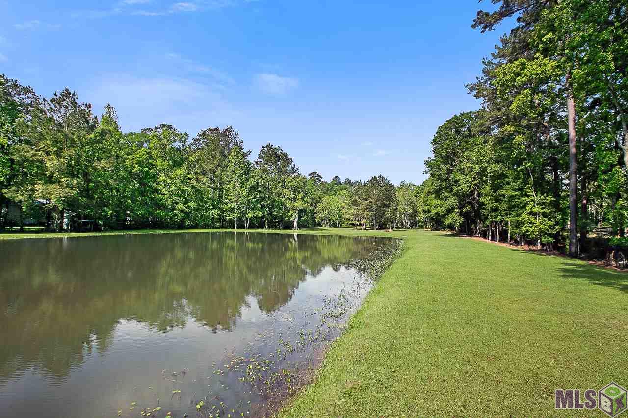 33429 Perkins Road Denham Springs, LA 70706 - Photo 18 of 22