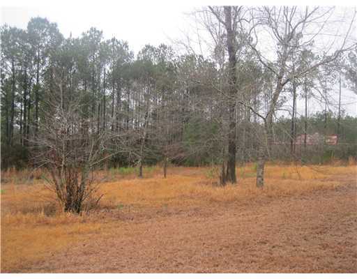 20325 Kates Road Vancleave, MS 39565 - Photo 13 of 13 Additional Photo