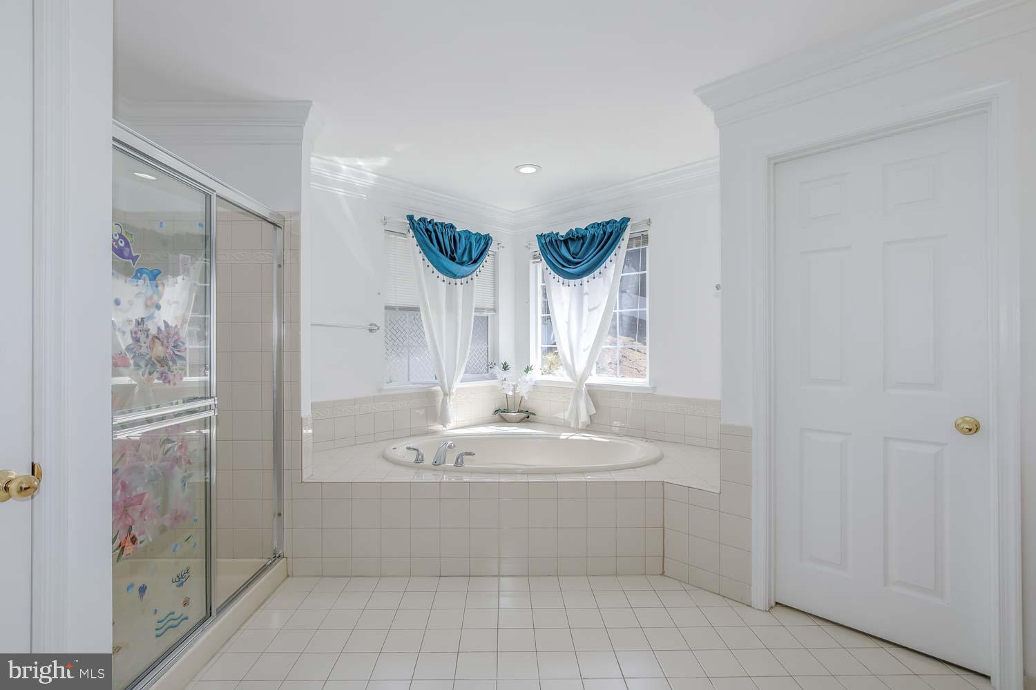 6810 Ashleys Crossing Court Temple Hills, MD 20748 - Photo 25 of 45 a bathroom with a bathtub a shower a sink and a mirror