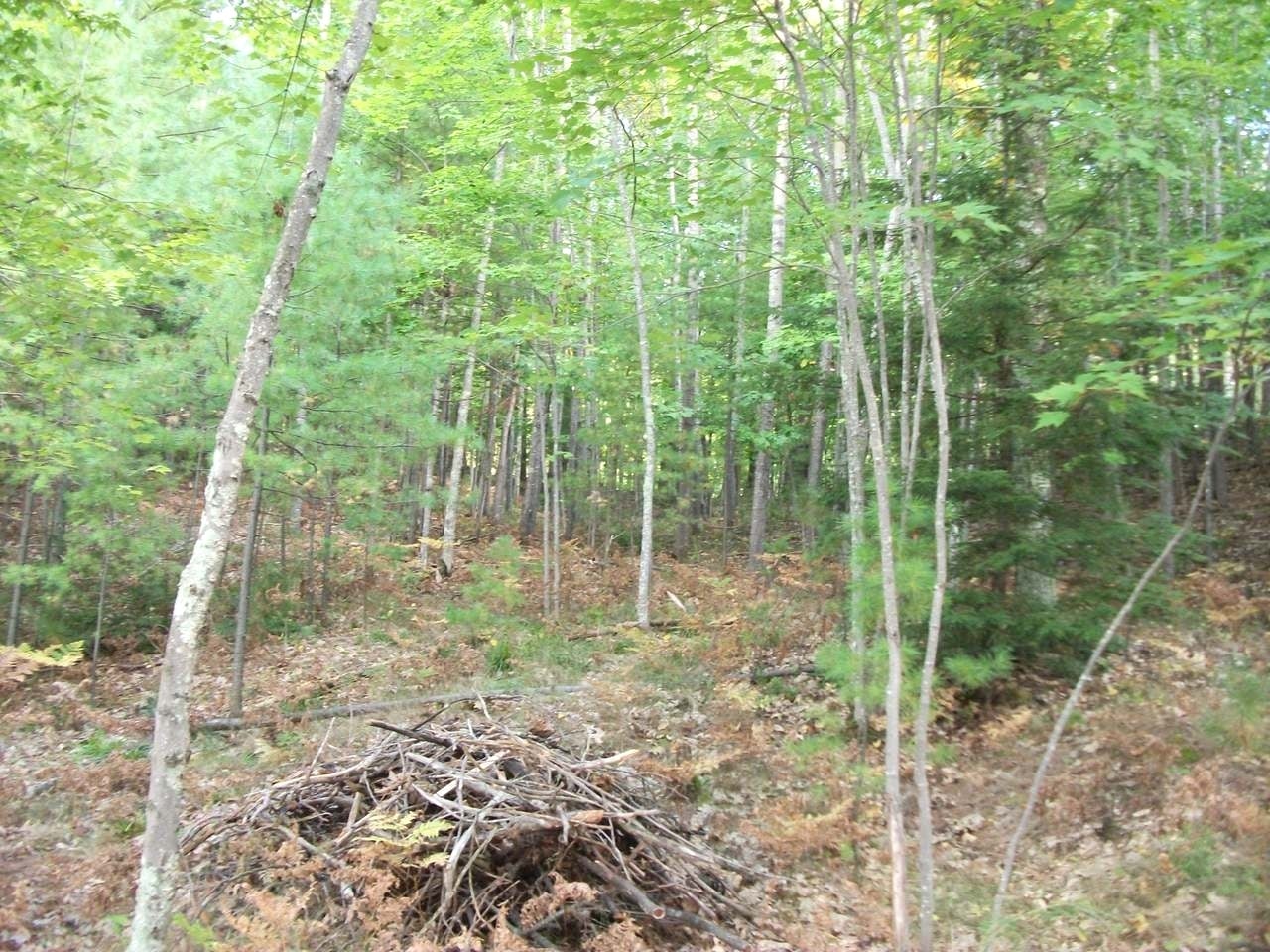 On Schroeder Road Minocqua, WI 54548 - Photo 9 of 13 Gallery Image 9