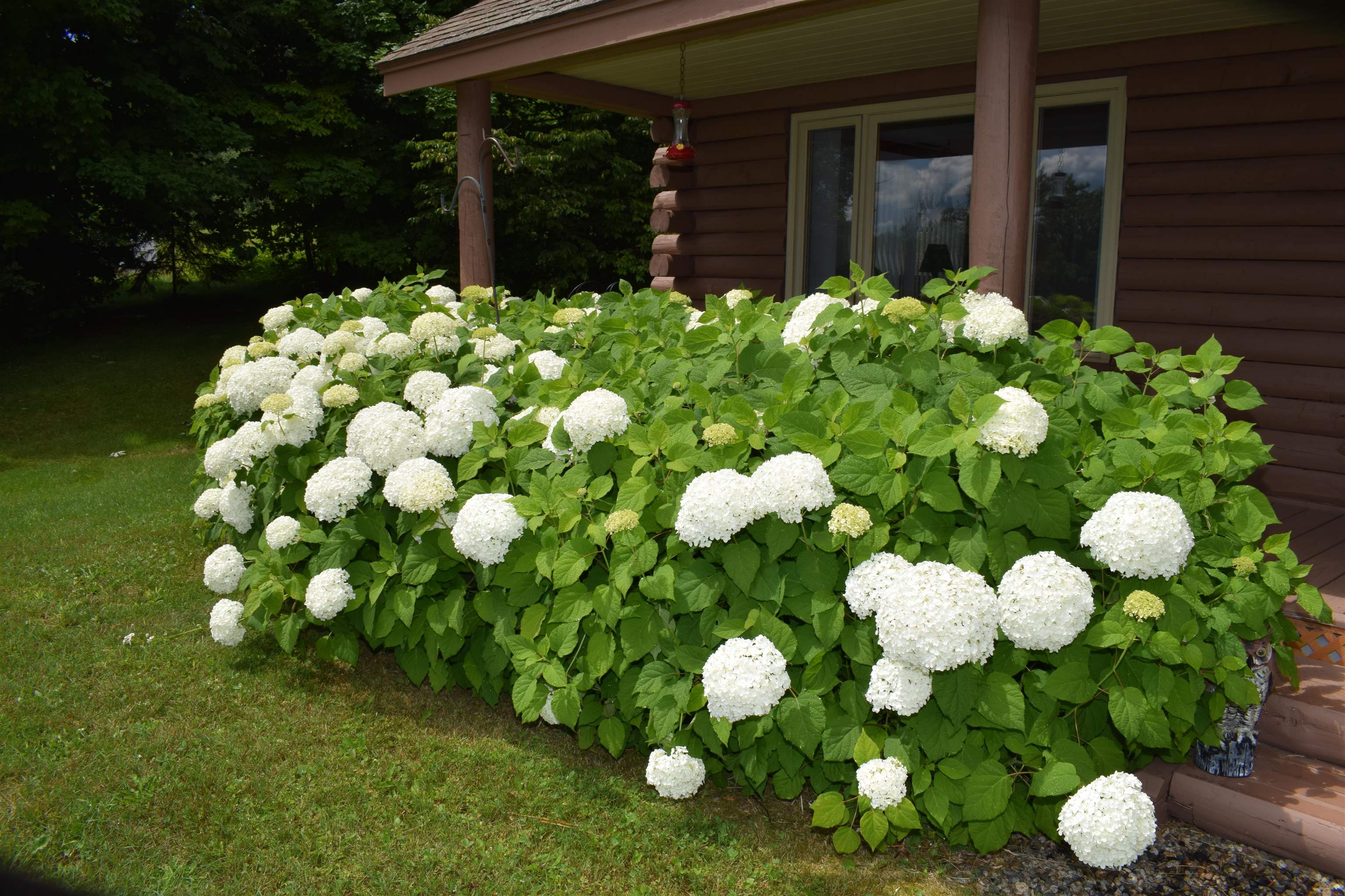2155 Fellows Road Guildhall, VT 05905 - Photo 6 of 43 Gallery Image 6