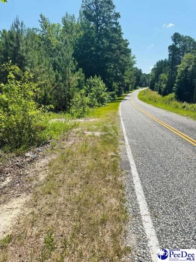 878 Beaver Run Road Hartsville, SC 29550 - Photo 11 of 20 Gallery Image 11