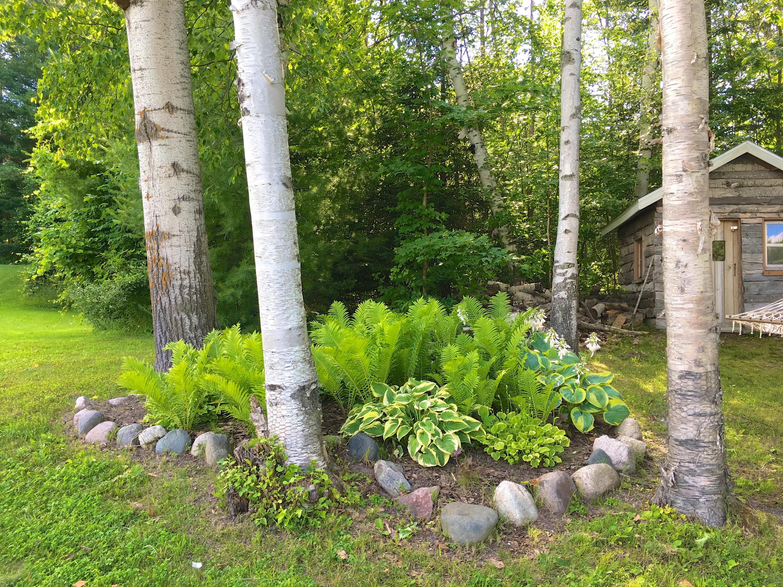 5116 Stoll Road Cheboygan, MI 49721 - Photo 48 of 49 Gallery Image 48