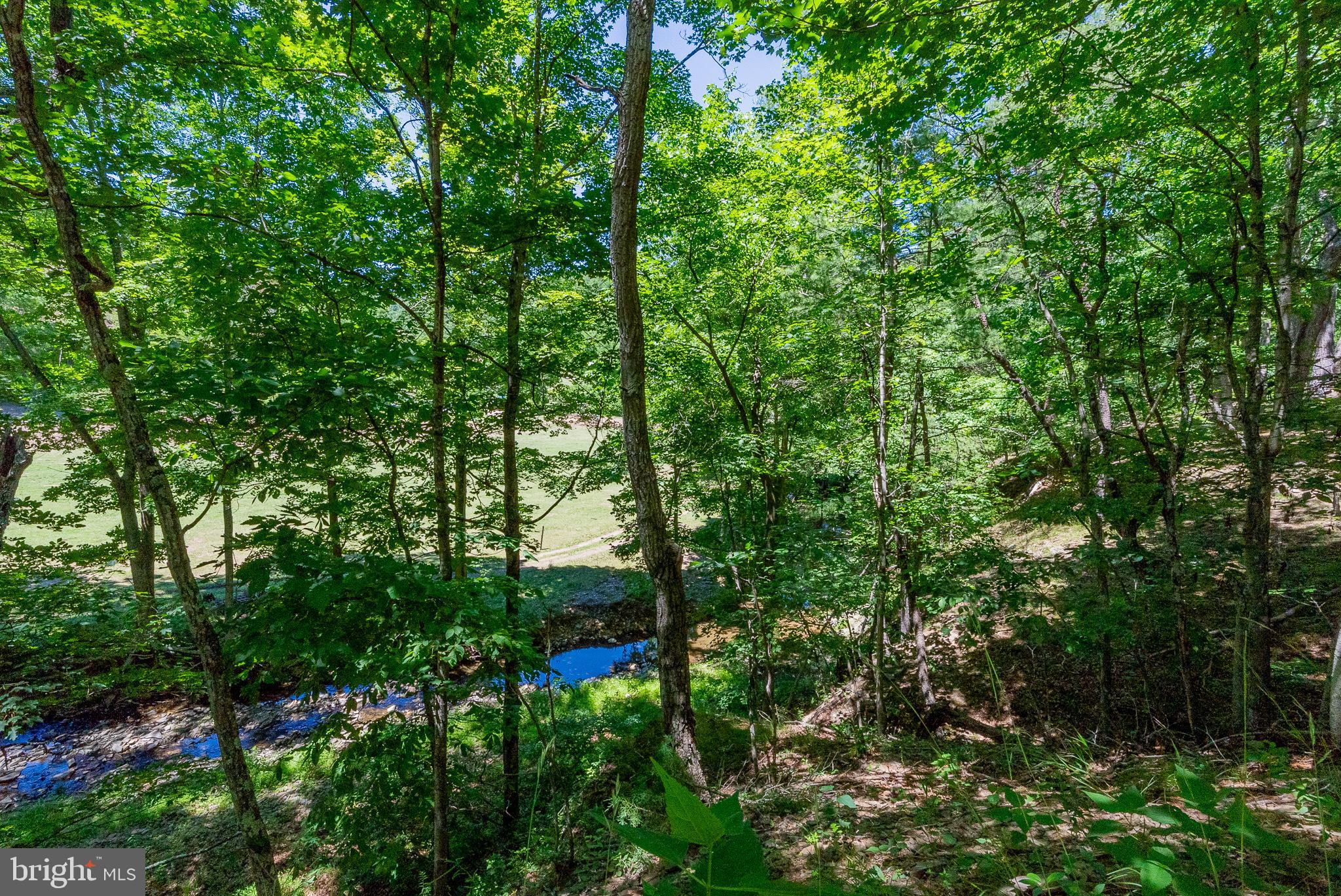 2084 Double Cribbs Road Burlington, WV 26710 - Photo 16 of 87