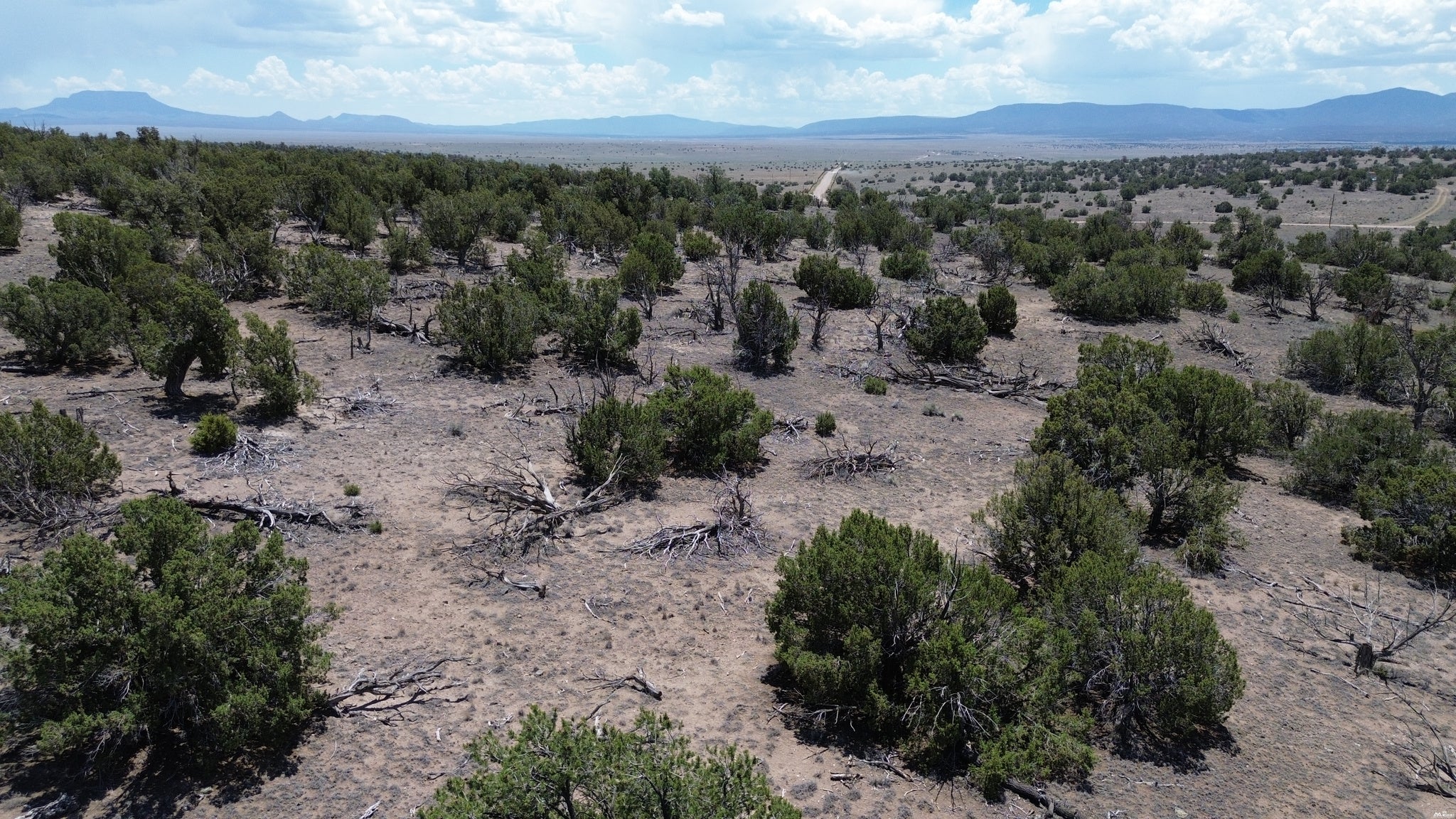 0 Omega Road, Unit 24 Quemado, NM 87829 - Photo 8 of 23 Gallery Image 8