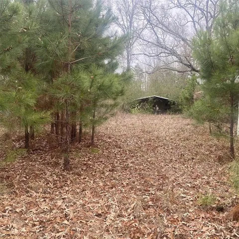 a view of a yard with plants and trees