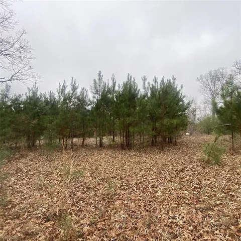 a view of a pathway with a wrought fence
