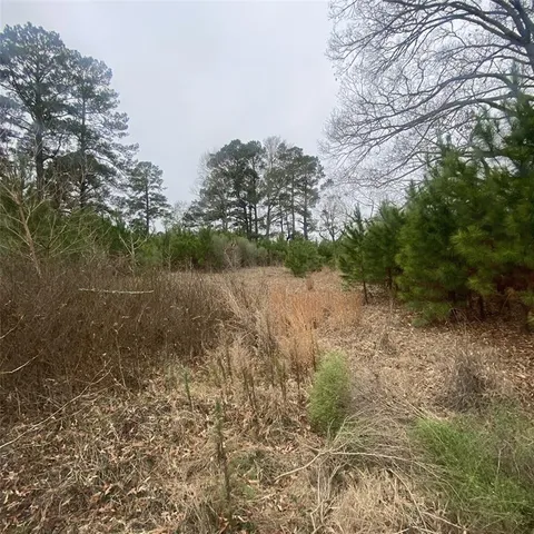 a view of a lake with trees