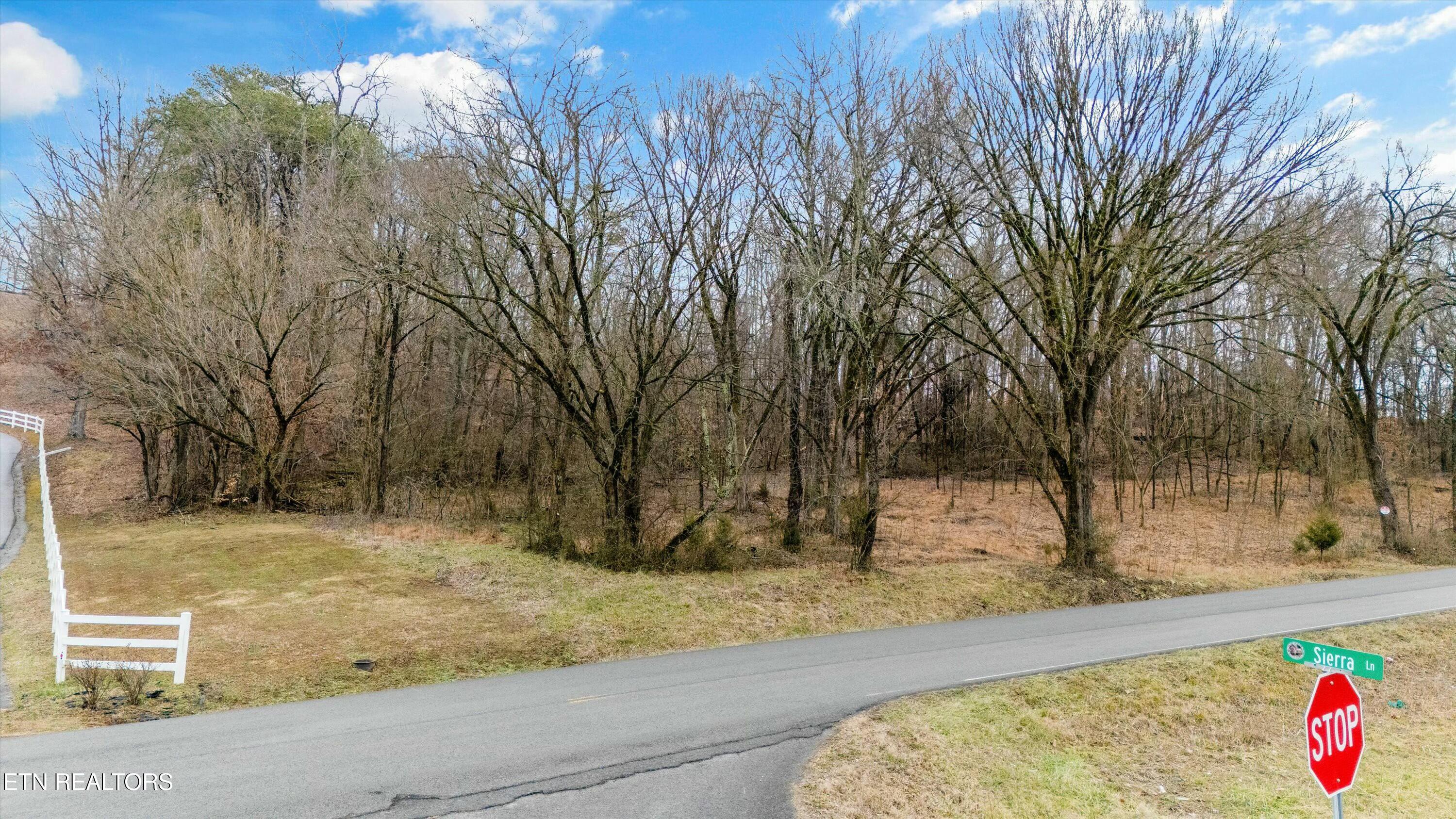 Indian Ridge Road Blaine, TN 37709 - Photo 2 of 11 tempImagei1wxSG
