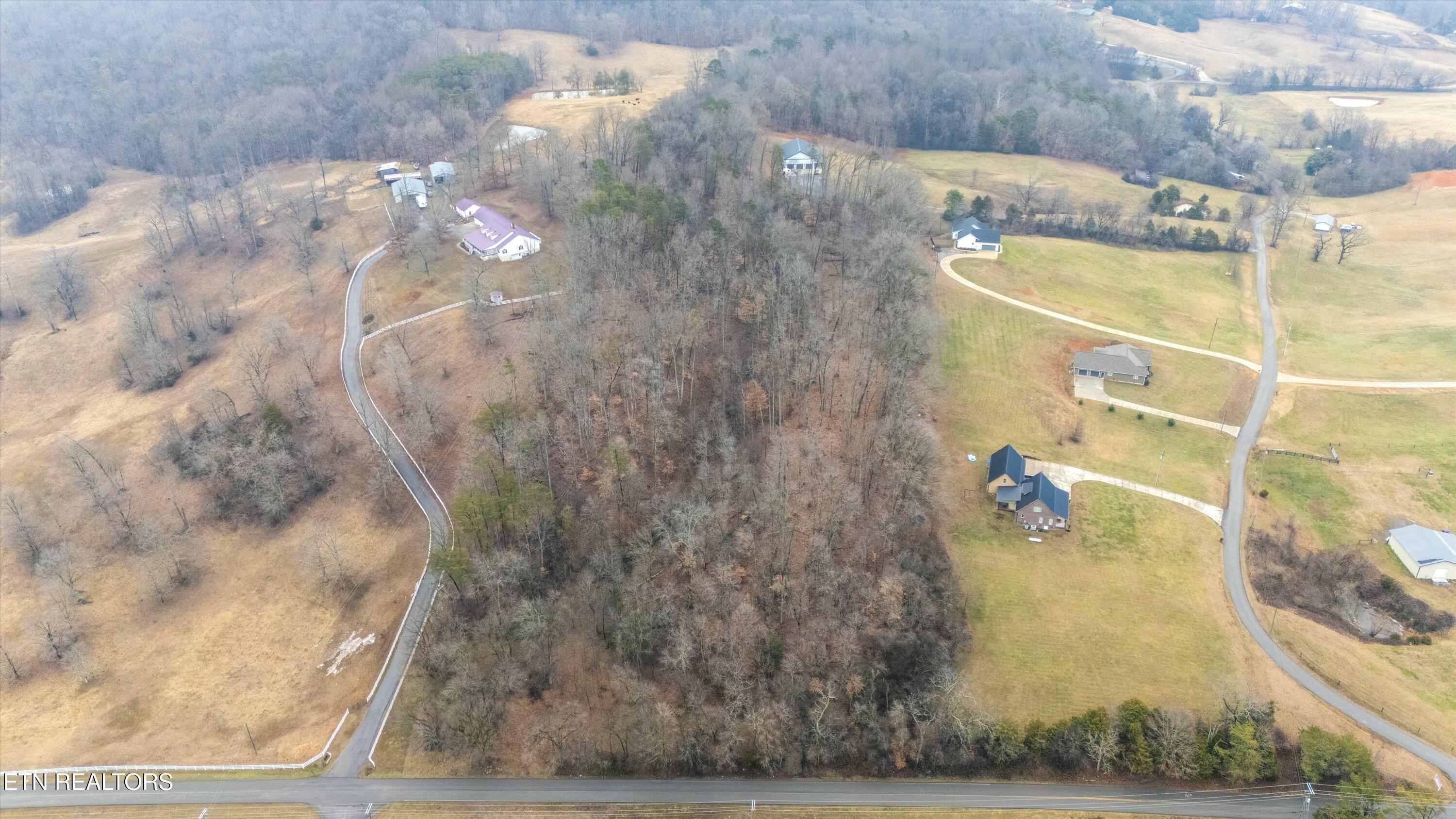 Indian Ridge Road Blaine, TN 37709 - Photo 5 of 11 tempImageRpMgVt
