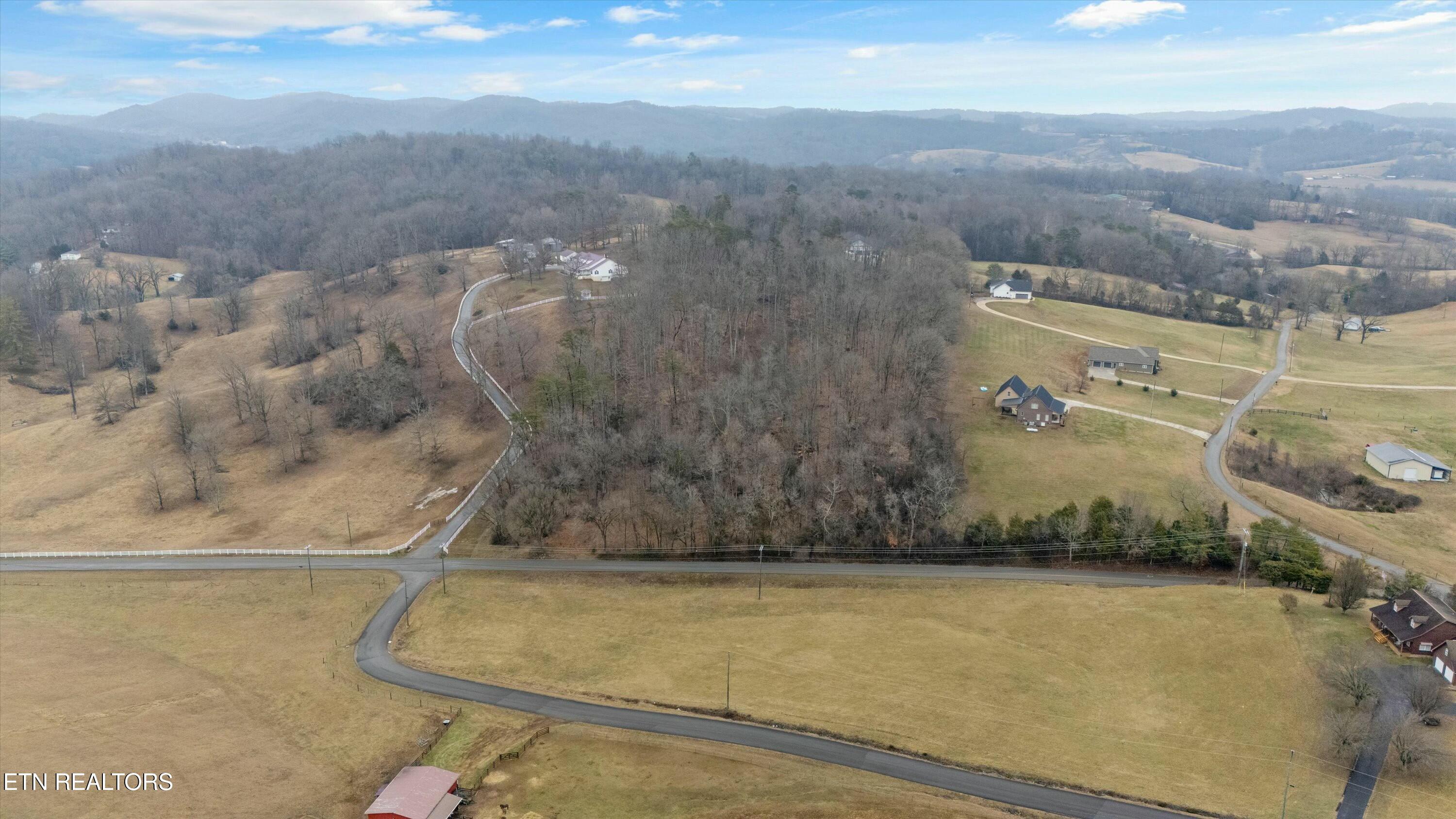 Indian Ridge Road Blaine, TN 37709 - Photo 9 of 11 tempImageU1BAdo