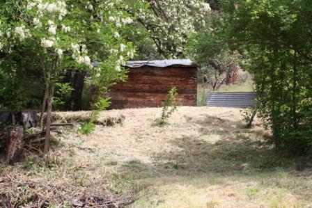 98 Canyon Creek Road Junction City, CA 96048 - Photo 10 of 17