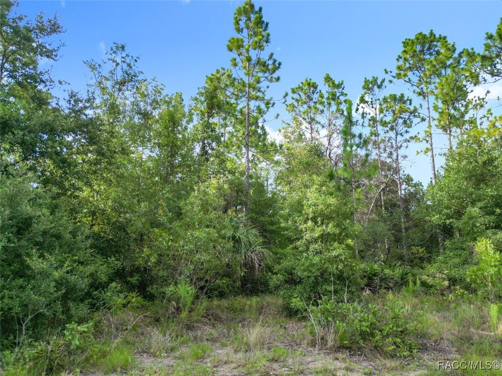 10488 West Dunnellon Road Crystal River, FL 34428 - Photo 8 of 10 Gallery Image 8