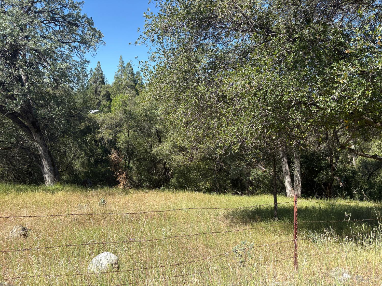 0 Sheep Ranch Road Mountain Ranch, CA 95246 - Photo 8 of 17