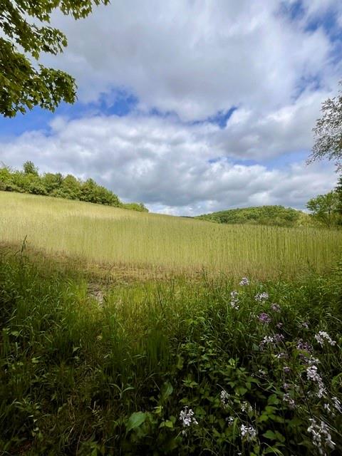 4448-4450 Hollow Road Wampum, PA 16157 - Photo 8 of 9 a view of an ocean and a yard