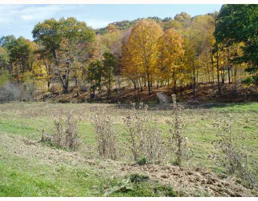 285 Snowden Road Hookstown, PA 15050 - Photo 3 of 5 Land/Lot.