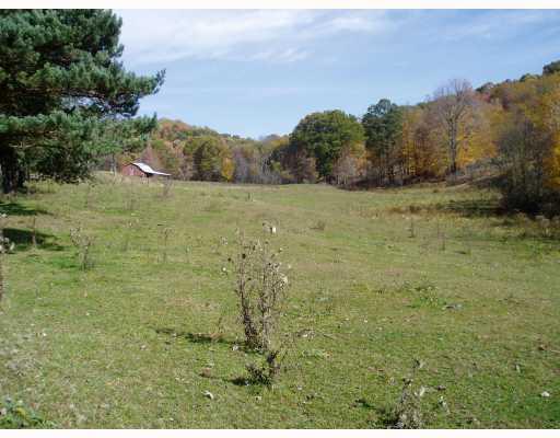 285 Snowden Road Hookstown, PA 15050 - Photo 4 of 5 Land/Lot. FENCED PASTURE