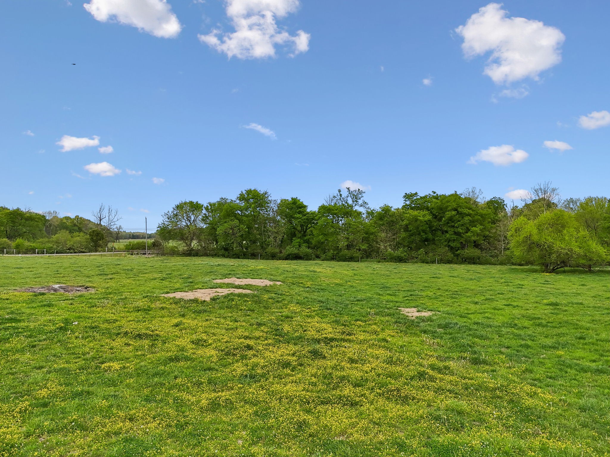 2575 Mt Vernon Road Chapel Hill, TN 37034 - Photo 38 of 41 Gallery Image 38