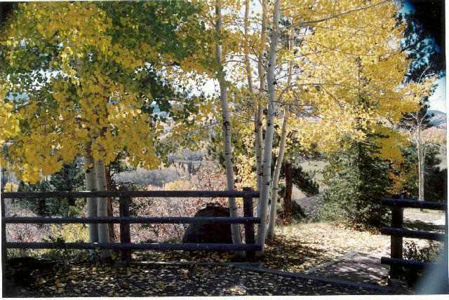 201 Anderson Road Telluride, CO 81435 - Photo 3 of 9 Additional Photo
