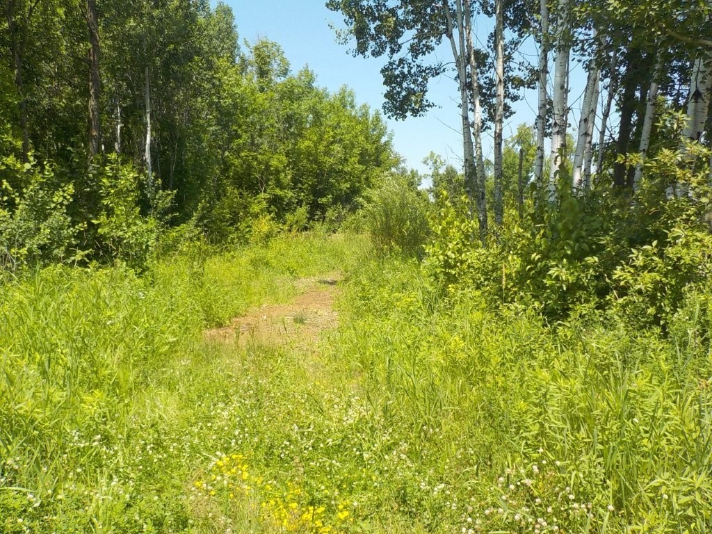 9888 North Mudhen Lake Road Siren, WI 54872 - Photo 7 of 13