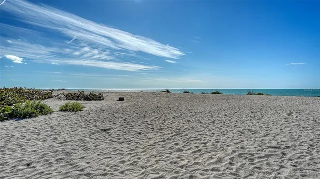 a couple of palm trees in front of house