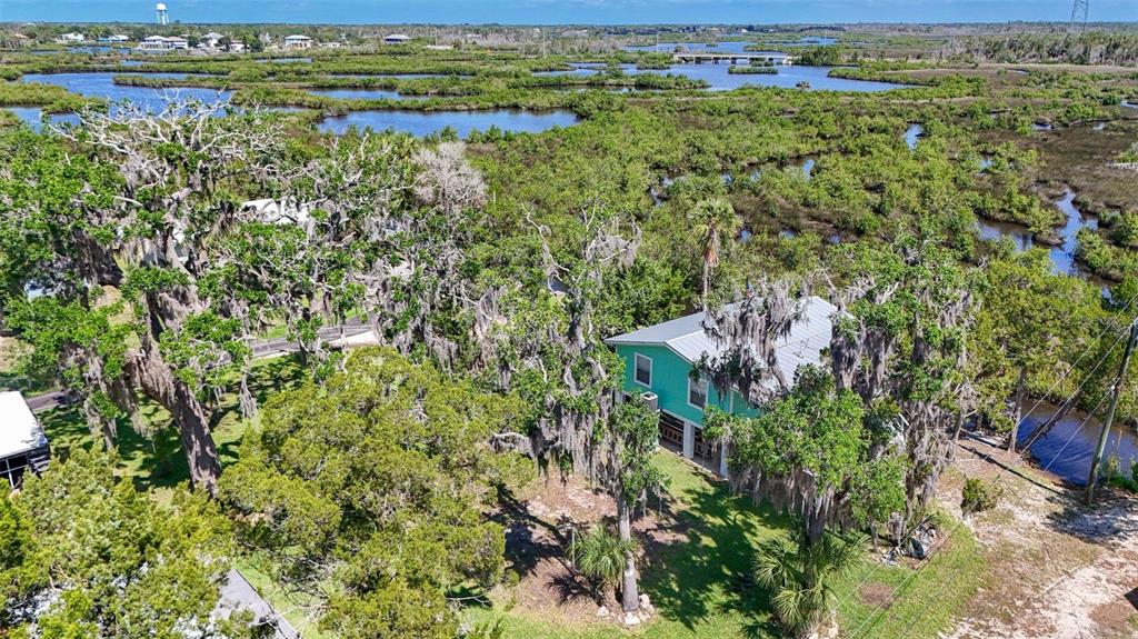 2220 Coon Point Crystal River, FL 34429 - Photo 50 of 58 a view of a city with lush green forest