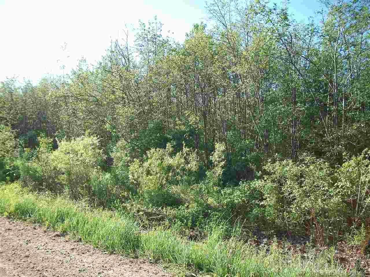 Tbd Mortimer Line Croswell, MI 48422 - Photo 1 of 6