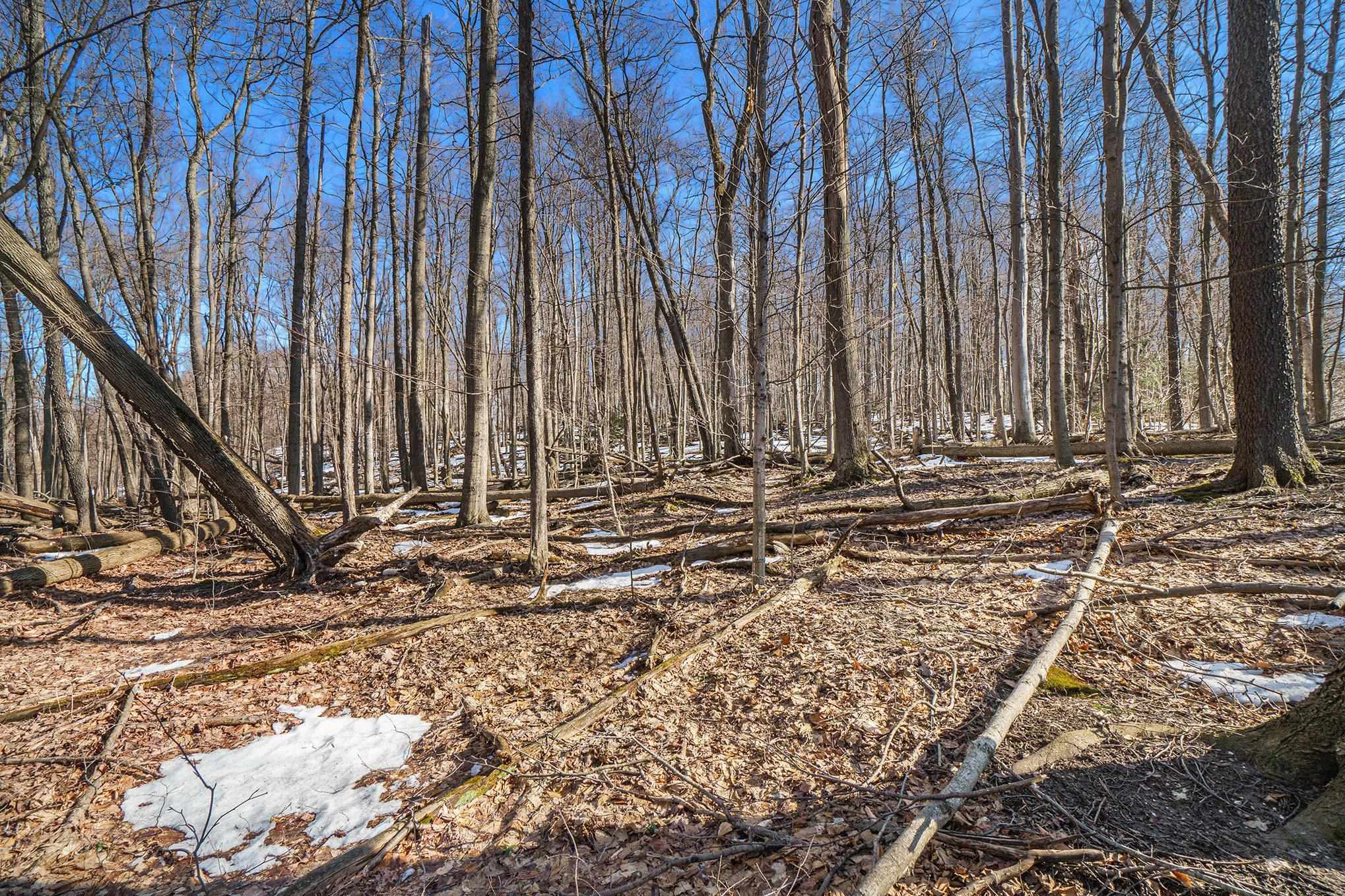 0 Treetops Lane Frankfort, MI 49635 - Photo 8 of 16