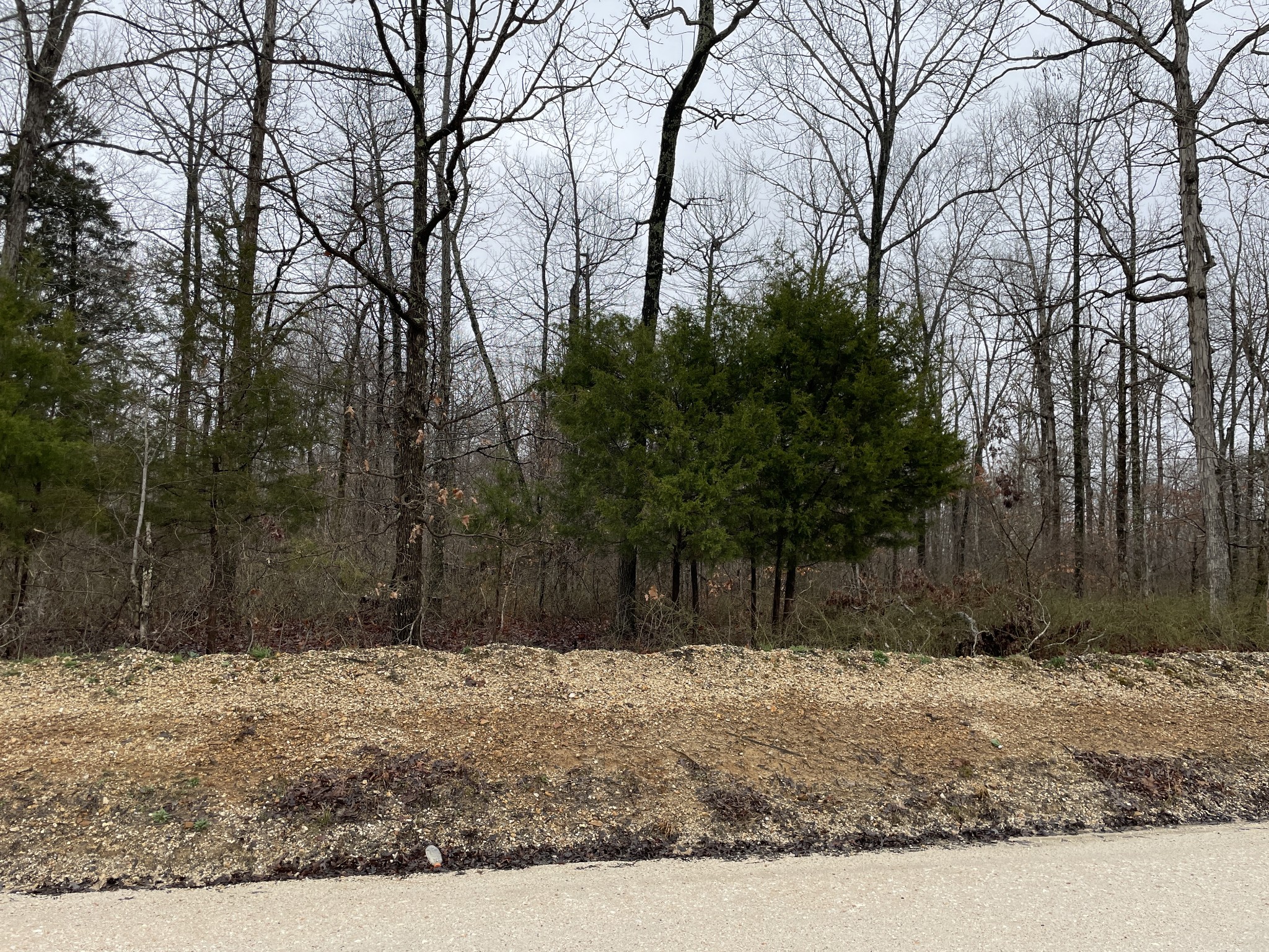 0 White Oak Ridge Road McEwen, TN 37101 - Photo 3 of 10 Gallery Image 3