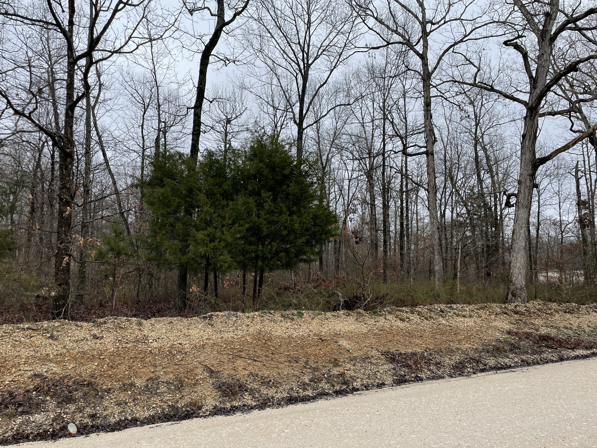 0 White Oak Ridge Road McEwen, TN 37101 - Photo 4 of 10 Gallery Image 4