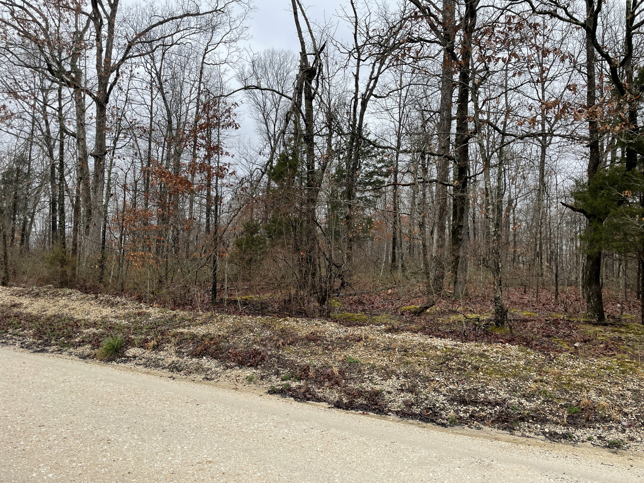 0 White Oak Ridge Road McEwen, TN 37101 - Photo 6 of 10 Gallery Image 6