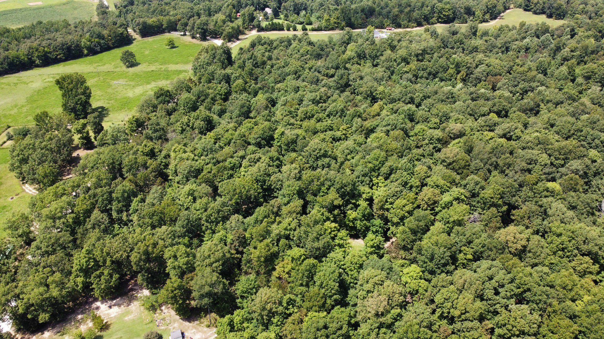 0 White Oak Ridge Road McEwen, TN 37101 - Photo 10 of 10 Gallery Image 10